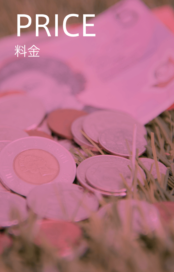 PRICE